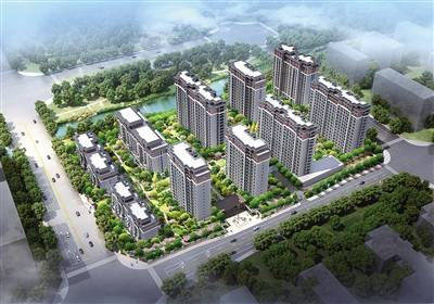 疾風知勁草 責任見真金